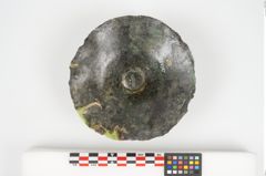 Foto von Bronzephalere (NHMW-PRAE-026056)